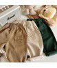  children's corduroy pants Spring and autumn new baby casual pants, boys' trousers, Korean version, one for distribution